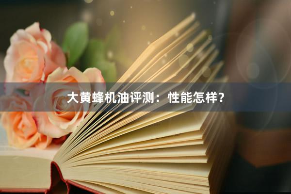 大黄蜂机油评测：性能怎样？